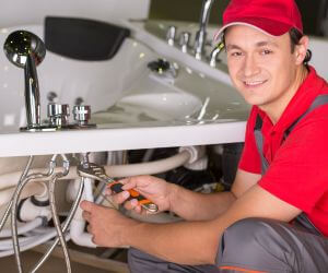 About Plumbers Pros Rapid City, MI